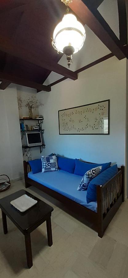 Petrinο Katochori Apartment Katokhorion  Bagian luar foto