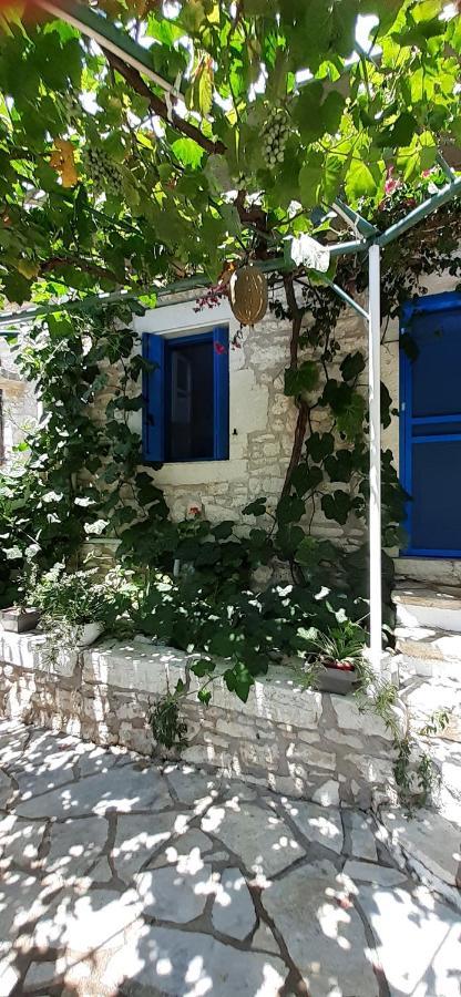 Petrinο Katochori Apartment Katokhorion  Bagian luar foto